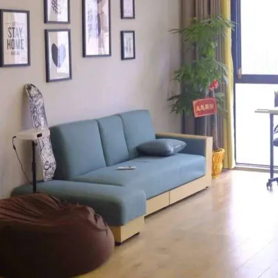 Sofa Bed Small Sofa Bed Living Room Fabric Drawer Sofa Foldable Latex Dual Purpose