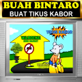 PENGUSIR TIKUS AMPUH | BUAH BINTARO LEMBAB | BUAH SIMPALAK. 