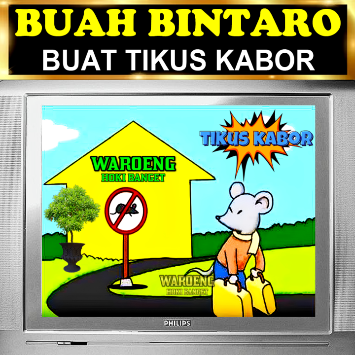 PENGUSIR%20TIKUS%20AMPUH%20%7C%20BUAH%20BINTARO%20LEMBAB%20%7C%20BUAH%20SIMPALAK%20-%20Image%205