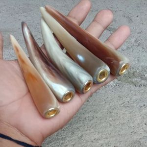 Pipa Tanduk Kerbau Bule 10-11cm: Panduan Lengkap