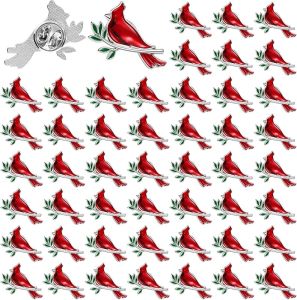 Jexine 20 Pcs Memorial Cardinal Sign Pins Set Funeral Pocket Token Guardian Gifts Pocket Oil Dropped Religious Funeral Favors Celebration of Life Memorial Sympathy Gifts Cardinal Charms for Women Man