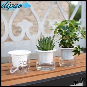【dipao】 Lazy Hydroponic Flower Pot Automatic Water-Absorbing Flowerpot Transparent Double Layer Plastic Self Watering Planter Office