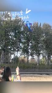 ว่าวปลาวาฬใหม่สำหรับเด็กและผู้ใหญ่ ว่าวที่มั่นคงและง่ายต่อการบิน กลางแจ้ง รูปสามเหลี่ยม ขนาดกลางและใหญ่