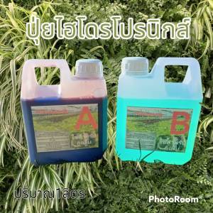 ปุ๋ยไฮโดรโปนิกส์ ปุ๋ยAB ปุ๋ยน้ำ ปุ๋ยผักสลัด สำหรับปลูกผัก Hydroponics ขนาด1000ML New สูตรใหม่ ติดตามร้านมีส่วนลด