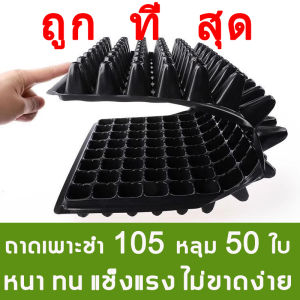 🔥 ส่งไว 🔥ถาดเพาะกล้า ถาดเพาะชำ 105หลุม 100แผ่น ถาดเพาะต้นกล้า ถาดเพาะกล้า ถาดเพาะต้นอ่อน ถาดเพาะเมล็ด ถาดเพาะข้าว ถาดเพาะปลูกผัก ปลูกต้นไม้