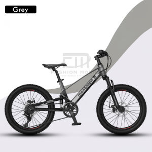 Montasen Swift Ride Bicycle MB15 20Inch Suspension Magnesium Children Bicycle Outdoor Cycling Bike