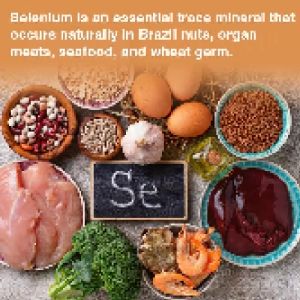 Selenium Thyroid Support Supplement - 200 mcg of selenium per serving antioxidant supplement and natural immune booster for adults
