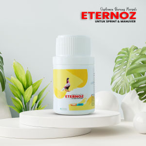 ETERNOZ JAMU MERPATI UNTUK SPRIN N MANUVER