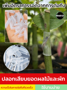 【ตัวช่วยที่ดีในการปลูกสำหรับมือใหม่】ปลอกสำหรับการต่อกิ่ง