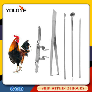 1Set/5Pcs Chicken Capon Tools Stainless Castration Tools Farm Rooster Capon Supplies
