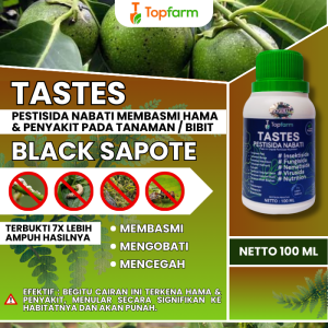 Obat Semprot Buah Black Sapote / Obat Tanaman Black Sapote / Obat Buah Black Sapote / Obat Hama Buat Buah Black Sapote / Obat Hama Buah Black Sapote