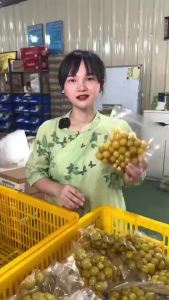 Yunnan Sweet and Sour Crispy Plums Sweet Sour Plum Dried Fruit Snacks