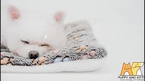 bed mat dog cat soft sleeping bed washable mat cushion for dogs