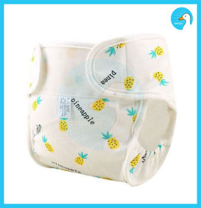 BebeCare! Organic Baby Washable Cloth Diaper Cotton Diaper New Born Reusable Diaper BC0017