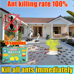 1 box of 16 pcs Layee Ant killer Ant bait Ubat semut Ants love to eat，Ant nest destroyed Ants killer bait Racun semut 蚂蚁药