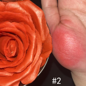3D Blush Rose Flower Shimmer / Blusher Make Up / Perona Pipi Bunga Mawar - 4 Warna