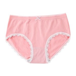 Hộp 5 Quần Chíp Nữ Hồng Hạc Viền Ren Co Dãn 4 Chiều - Sịp Nữ Cao Cấp DL3