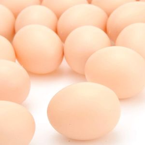 20Pcs Artificial Chicken Eggs Plastic Fake Eggs Realistic for Poultry Chicken Laying Farm Breeding