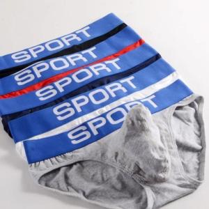 2 PCS Organic Cotton Men Boxers Shorts Man Underwear Boxer Mens Panties Male Elephant nose Trunks Underpants U Pouch Convex