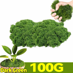 Dizoey 200/30G rêu nhân tạo Màu Xanh Lá Cây Vĩnh Cửu Cuộc Sống Moss thủ công tự làm Cây cỏ giả cảnh quan vi mô Mô Phỏng Cỏ Cho Chậu Vườn
