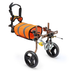 Kursi Roda Wheelchair Alat Bantu Jalan Kaki Belakang Untuk Anjing Peliharaan Dengan Kaki Punggung