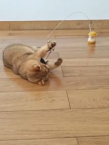 Cat Teasing Stick 360° Rotatable Detachable Wand Toy Long Rod Feather Cute Duck Cat Toy With Catnip