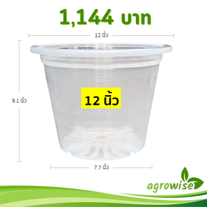 กระถาง กระถางต้นไม้ กระถางพลาสติก เบอร์ 12 นิ้ว สีใส 25 ใบ ชิ้น อัน