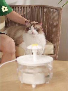 Pet Water Fountain Automatic Cat Drink Bowl Filter USB Electric MuteDrinking Dispenser Drinker For Cats Water Filter2026