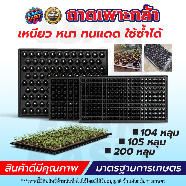 ถาดเพาะกล้า 104 105 200หลุม หนา ทนทาน คุณภาพดี