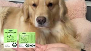 Yegbong  Sarung Tangan Sekali Pakai untuk Membersihkan Hewan Peliharaan   Sarung Tangan Pembersih Tanpa Mandi untuk Menghilangkan Kotoran dan Bau dari Kucing dan Anjing