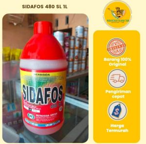 SIDAFOS 480 SL 1 liter herbisida rumput