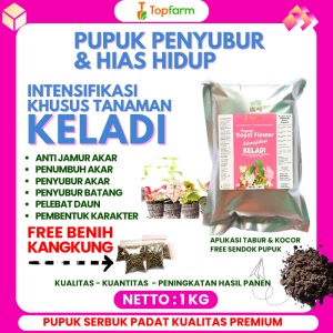 Pupuk Tanaman Hias Keladi / Tanaman Hias Keladi Kris Papua / Pupuk Tanaman Hias Keladi / Pupuk Penyubur Bunga Keladi / Pupuk Hias Caladium