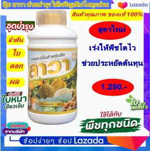 ปุ๋ยน้ำลาวา(LAWA) 1ขวด 1000 cc. ช่วยเร่งการเจริญเติบโตทุกส่วนของพืช ใช้ได้กับพืชได้ทุกชนิด