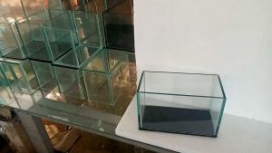 AQUARIUM CHANA CUPANG TANK PROGRES UK.20x10x12 CM