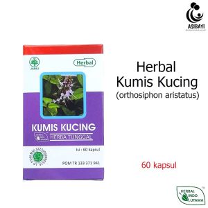 HIU Kumis Kucing Orthosiphon Aristatus Extract Herbal Asam Urat Batu Ginjal Diabetes Hipertensi
