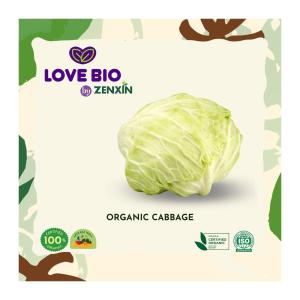 LOVE BIO Organic Cabbage