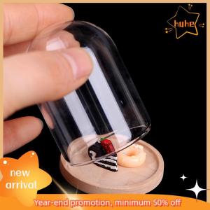 huhe 1:12 Dollhouse Miniature Decor Flower Display Display Bell Jar with Base