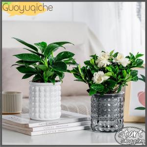 【Guoyuqiche】🔥🔥🔥 กระถางต้นไม้พลาสติกใสรดน้ำด้วยตัวเองขนาดเล็กสำหรับตกแต่งบ้าน