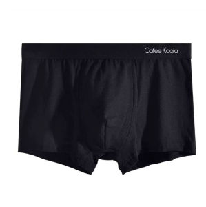 Cacti Keno Mens ice silk seamless boxer brief underwear for men original branded plus size 3XL 4XL 5XL