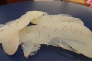 HOÀN TIỀN 15% - 500gr Sáp wax lông nóng  wax bean  sáp wax dừa  sáp wax trong suốt  siêu bám lông  sáp dừa wax lông 500g cao cấp sáp wax lông vụn