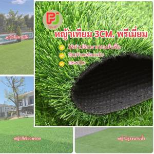 (ยกม้วน หญ้าเทียม 3 cm.PM. พรีเมี่ยม) หญ้าเทียมใช้ภายนอก ทอหนาแน่นพิเศษ กว้าง 2 m.ยาว 25 m. พร้อมส่ง