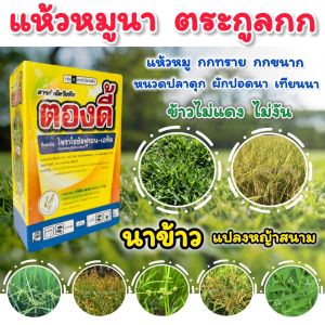สารกำจัดหญ้าแห้วหมู ตองดี้ ไพราโซซัลฟูรอน-เอทิล  กำจัดหญ้าใบกว้าง กก แห้วหมู สารกำจัดวัชพืช ในนาข้าว แปลงหญ้า พ่นได้3-4ไร่ ขนาด 100 กรัม