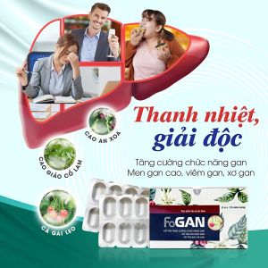 Viên Uống Cà Gai Leo FOGAN Fobe Giải Độc Gan Bảo Vệ Gan Tăng Cường Chức Năng Gan - Hộp / 20 viên - Green Pharma