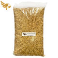 Jockey Oats 1kg - 1 kilogram Repacked - Bird Feeds - 1 kg - Bird Food Philippines - Birds - Birding - pgb - petpoultryph. 