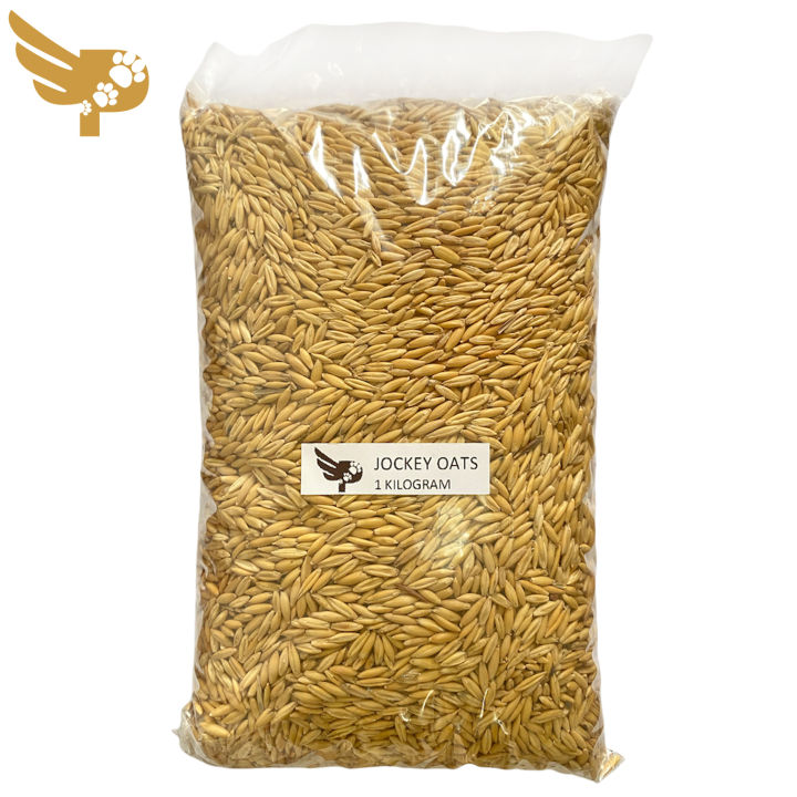 Jockey Oats 1kg - 1 kilogram Repacked - Bird Feeds - 1 kg - Bird Food Philippines - Birds - Birding - pgb - petpoultryph
