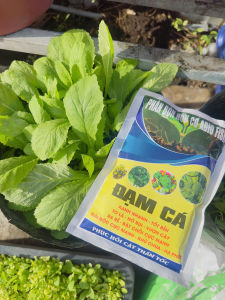 Phân bón hữu cơ ABIO FISH -  đạm cá nguyên chất giúp phục hồi cây nhanh chóng tăng trưởng mạnh mẽ - Phù hợp với mọi loại cây trồng