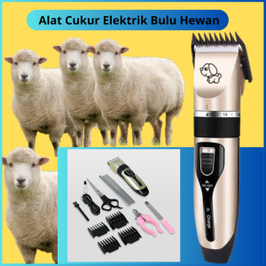 DIKIRIM CEPAT  mesin Alat Cukur Elektrik Bulu Hewan domba kucing Anjing tanpa kabel cas super tajam