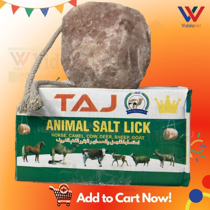 Pure Himalayan Mineral Block Natural Salt Lick for Livestock Cattle