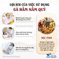 Gà hầm nấm quý, set nấm tần gà, chim, lẩu nấm thơm ngon, bồi bổ sức khỏe cho cả gia đình. 