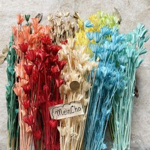 (30-40gr) GROSIR Bunga Kering NIGELLA OCTAGON Flower Preserved Rustic Import Aesthetic Rustik Tangkai Panjang